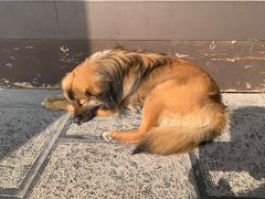 -长春观