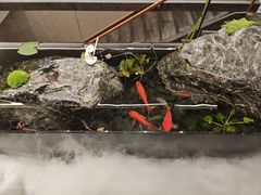 -国人川菜(李家村建东街店)