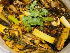 藿香茄子烧鳝鱼-永乐饭店