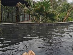 -中铁花水湾四季温泉谷