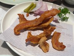 -船歌·鱼水饺青岛菜(太阳宫凯德MALL店)