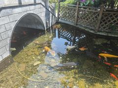 -九尺赵老四鲜鹅肠火锅