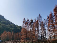 -广州市石门国家森林公园