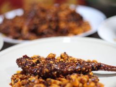 -鑫记婆婆兔·兔头(春熙店)