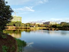 -福田红树林生态公园