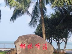 -万绿园