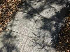 -广州兰圃