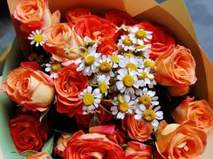 -循礼门鲜花花市(武汉循礼门店)