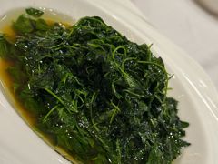 酒香草头-新雅粤菜馆(南京东路店)