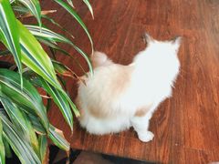 -默迹咖啡馆
