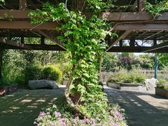 -桃花岛景观公园