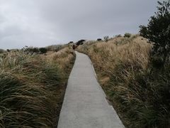 -嵛山岛