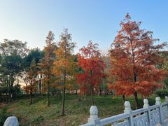 -狼山风景名胜区