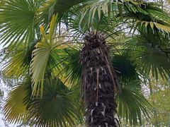 -求雨山文化公园