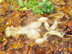 -鸿顺老铁锅美蛙鱼府(解放碑店)