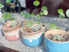 -川匠·睡眠采耳·SPA(九眼桥店)