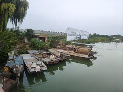 -西湖船菜(湖滨·碧水山庄店)