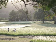 -福建鲤鱼洲酒店