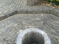 -上海佘山国家森林公园天马山园