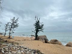 -浪琴湾度假村