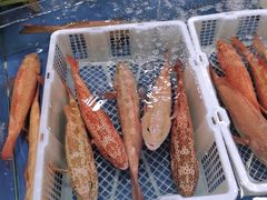 -东江海鲜酒家(艺都分店)