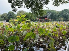 -丝绸小镇荻港古村