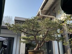 -山外山菜馆(玉泉路店)