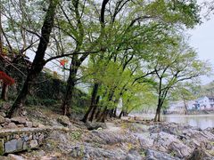 -鹿亭中村