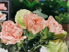 -悦景酒家(罗湖店)