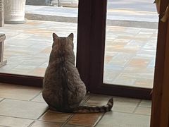 -隅cafe(傅厚岗店)