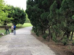 -共青国家森林公园-售票处