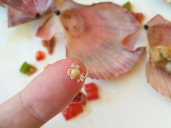-港畔赶海蒸汽海鲜烧烤自助(仙螺岛店)