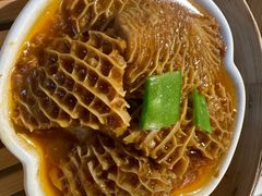-点都德·毕德寮