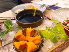 今年首批活海胆-斯普汇生蚝牛排馆(中骏世界城店)