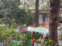 -杭州少年儿童公园