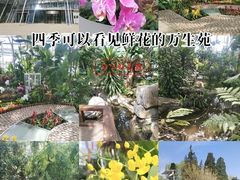 -北京植物园-展览温室