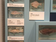 -舟山博物馆