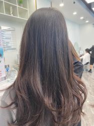 -YESIDO椰岛造型