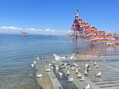 -青海湖国家重点风景名胜区