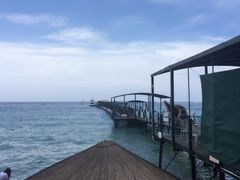 -亚龙湾海底世界