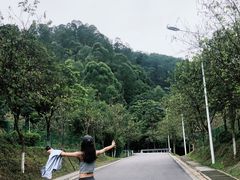 -火炉山森林公园