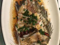 -金海湾海鲜排档(朱家尖店)