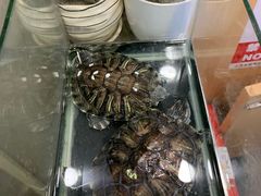 -50岚(太平洋森活天地店)