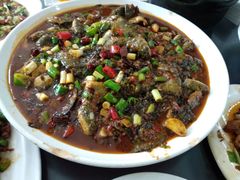 -灯盏窝饭店(新都分店)