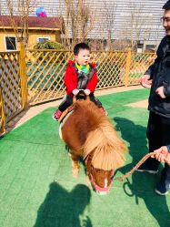 -萌宠亲子动物乐园(槐房万达店)