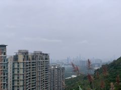 -梧桐山风景名胜区