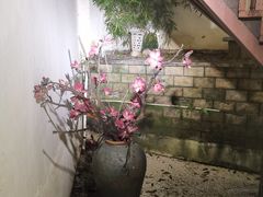 -宋宴(虎跑店)