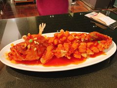 松子鲈鱼-小资太太餐厅(南岗区店)