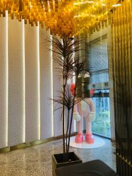 前台-3AM·S HAIR SALON烫发染发接发