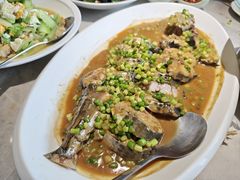 -船歌·鱼水饺青岛菜(石老人店)